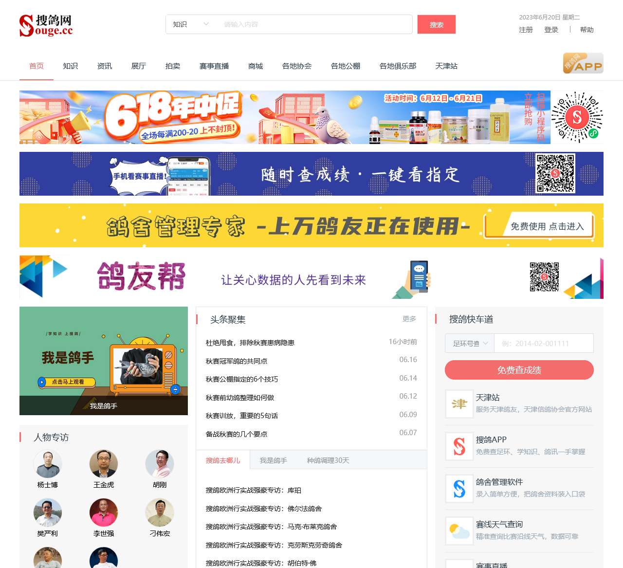 津市信鸽协会信息网