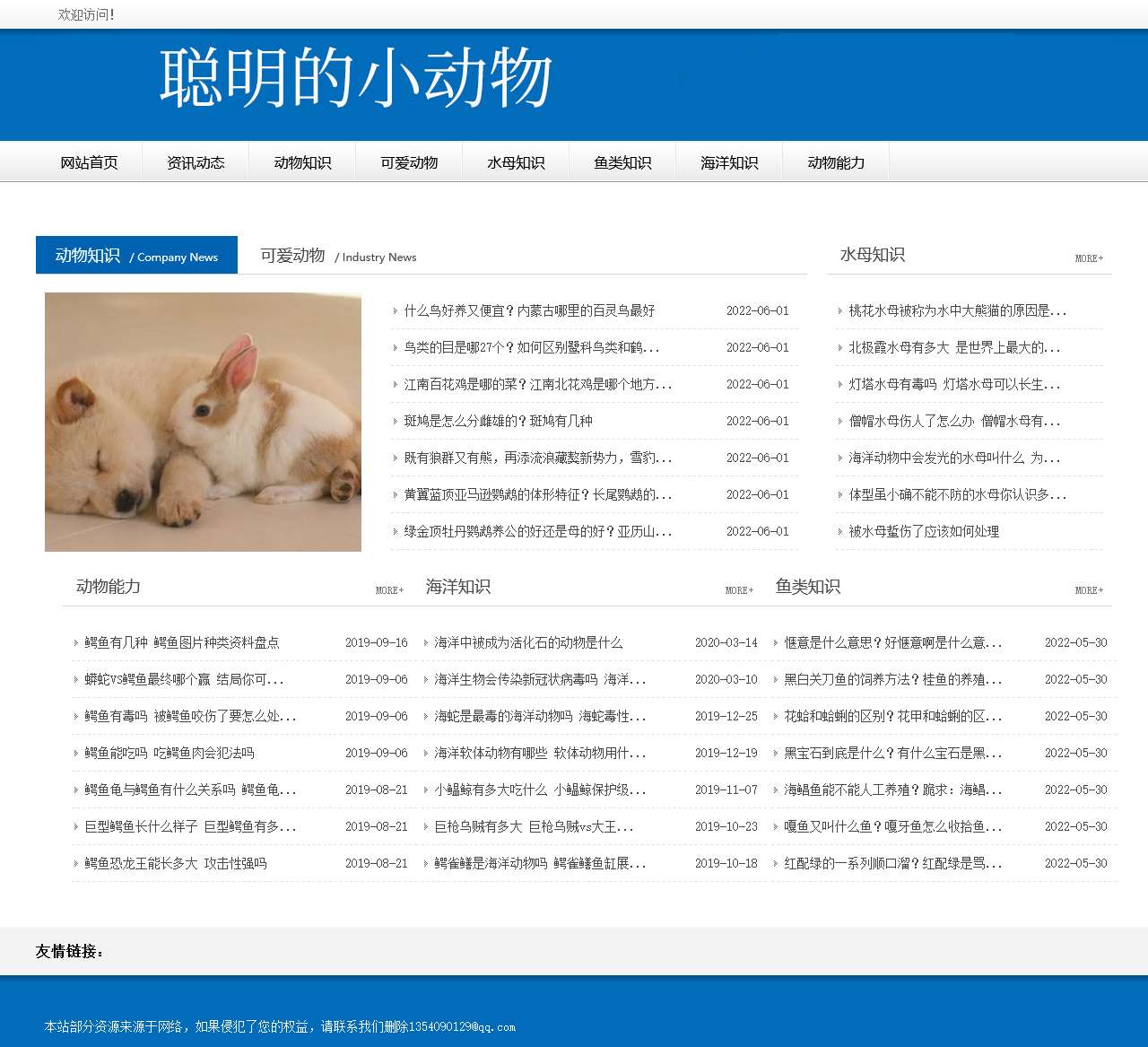 为您介绍动物的各种能力和动物百科知识_聪明的小动物