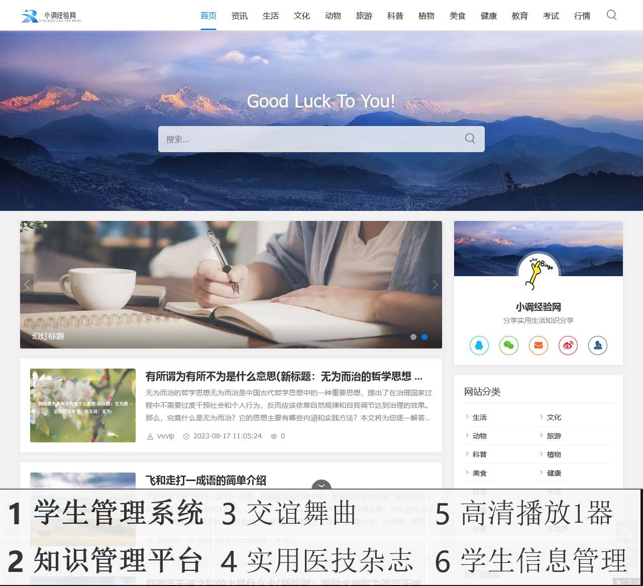 小调经验网 – 一个实用生活知识分享