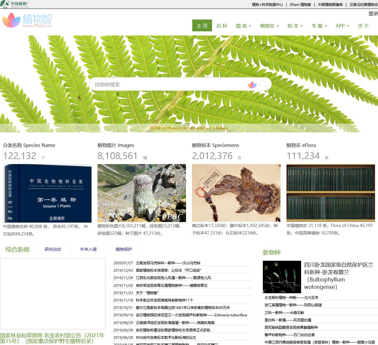 iPlant 植物智——植物物种信息系统