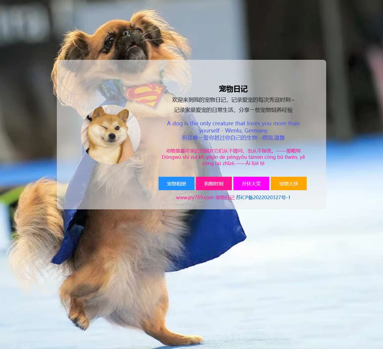 宠物日记