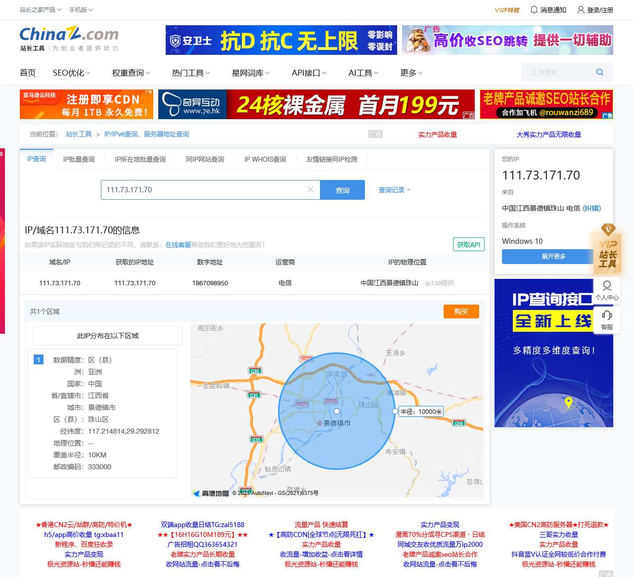 IP/IPv6查询,服务器地址查询 - 站长工具