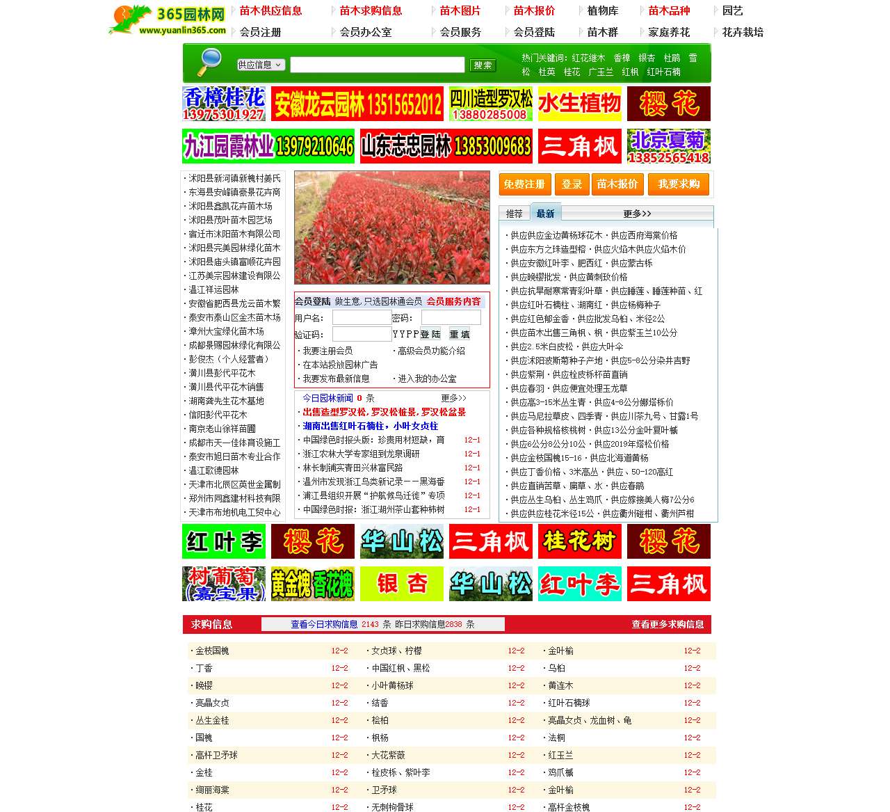 365园林网-苗木求购信息|苗木价格|绿化苗木供应|苗木网|中华园林行业网站