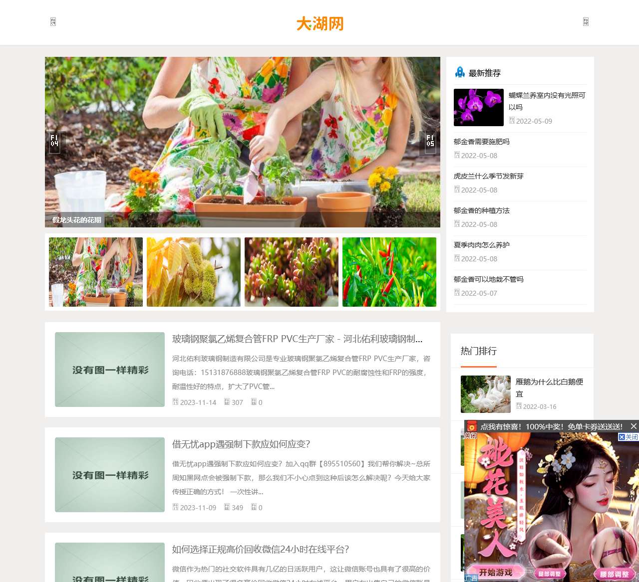 大湖网