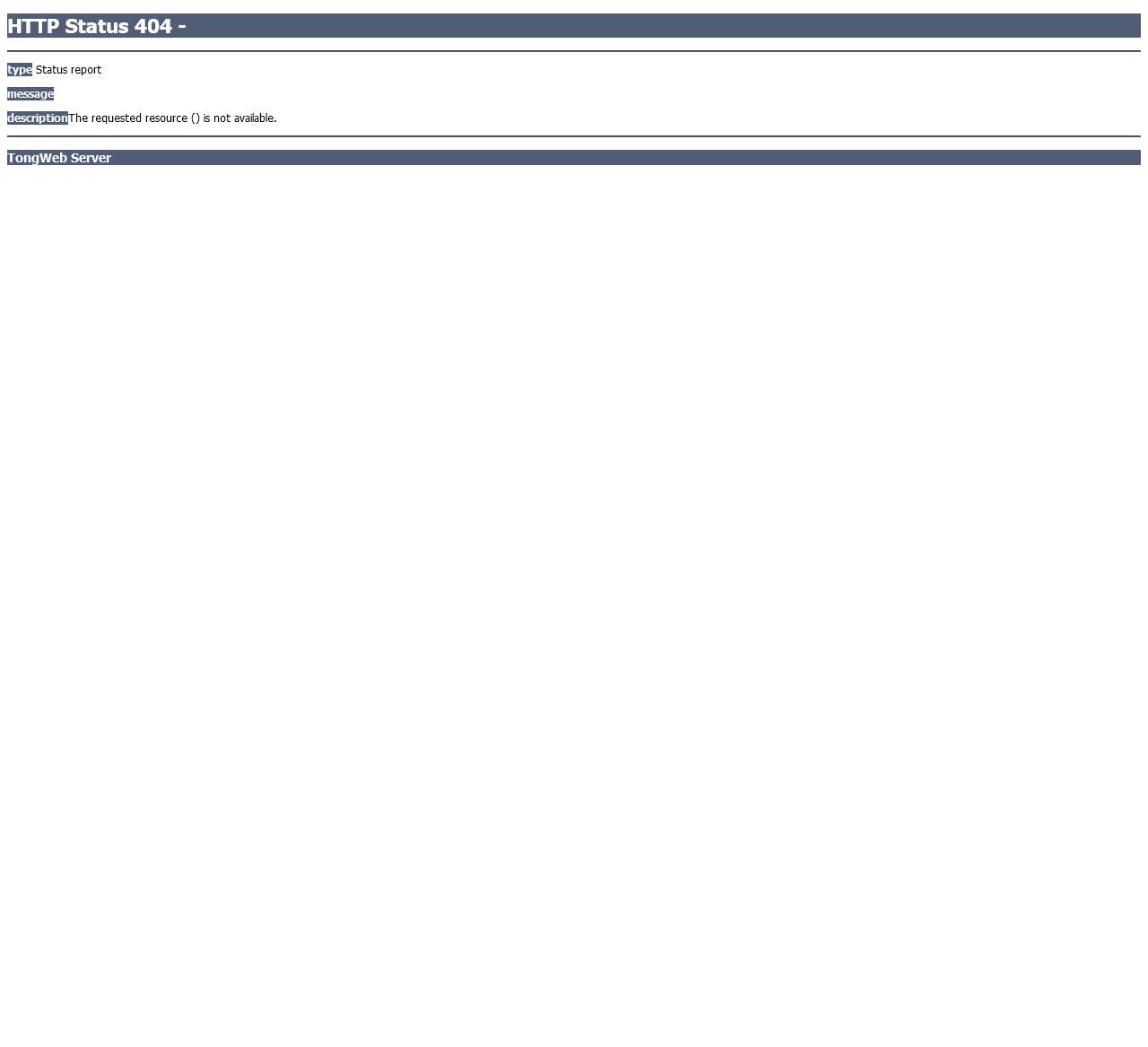 TongWeb Server – Error report