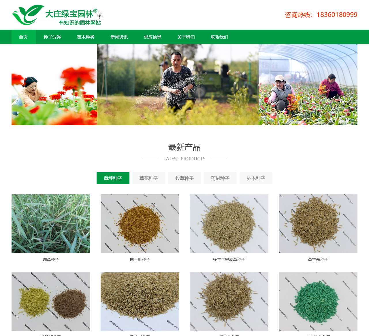 进口草坪种子-草花卉种子-大庄绿宝园林网