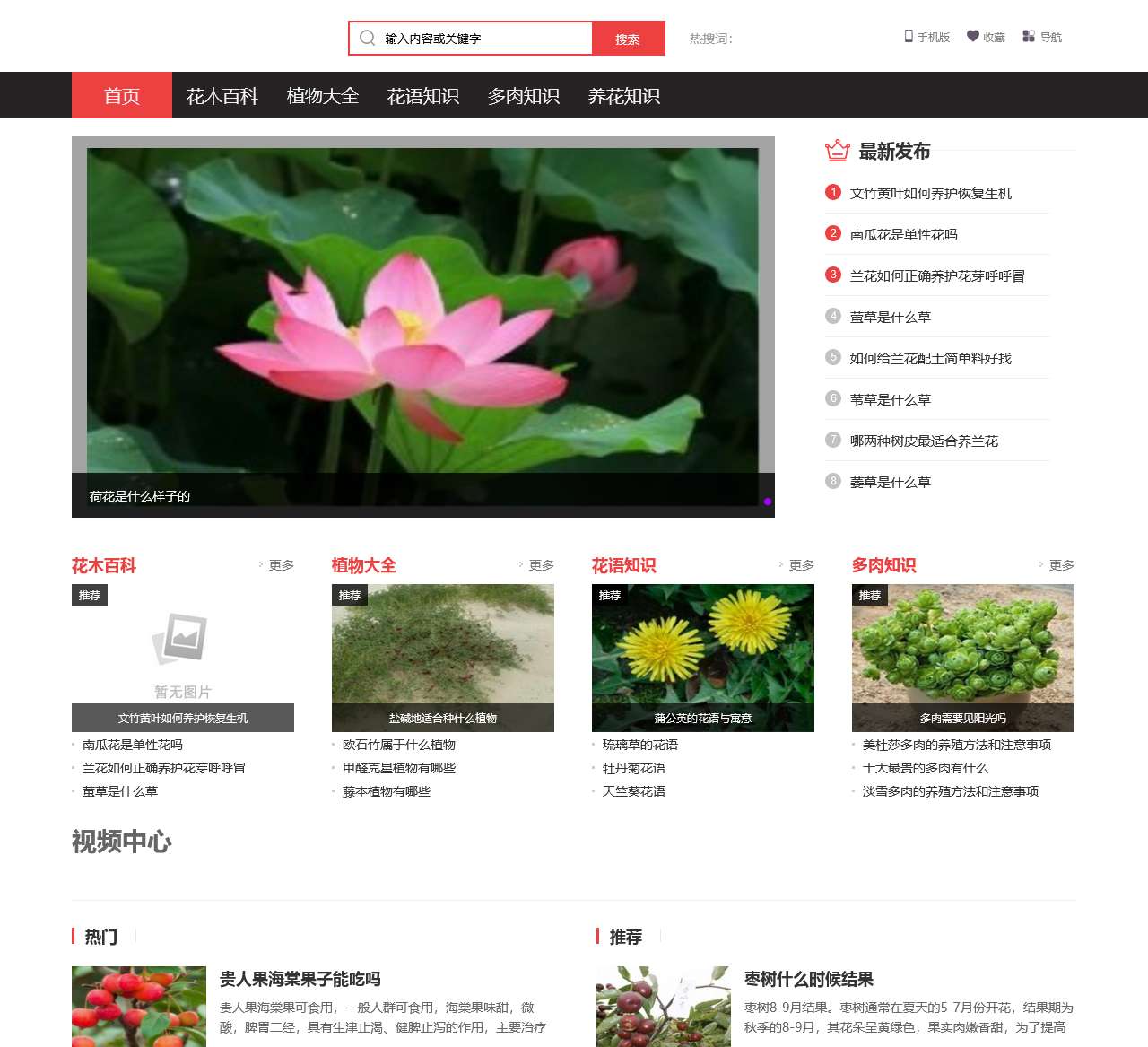 花木知识 – 花木趣