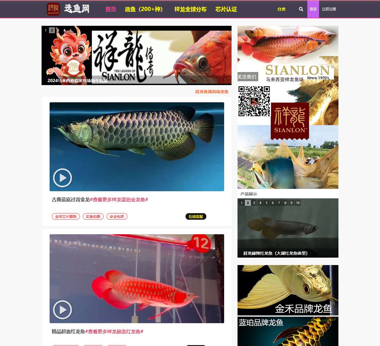 龙鱼批发|祥龙鱼场(观赏鱼批发视频网)-专注龙鱼40年!-