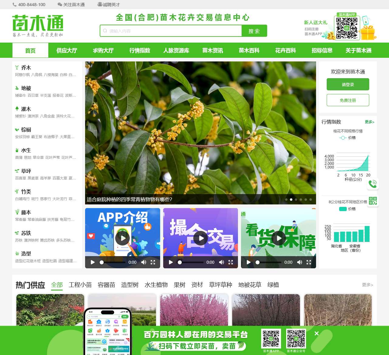 苗木通-苗木一点通，买卖更轻松。园林花卉苗木买卖交易行业一站式服务网站平台。
