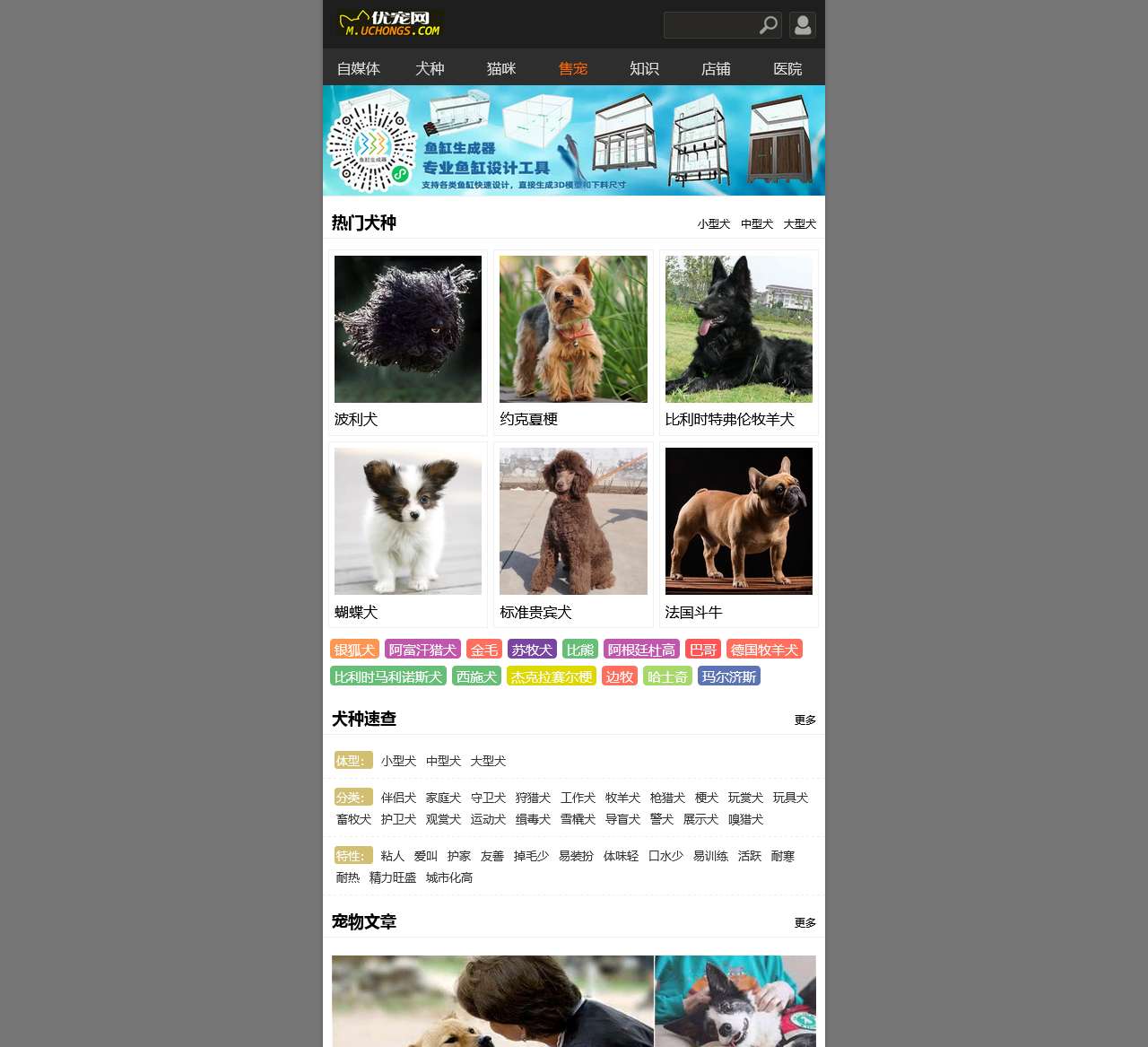 优宠网移动-优宠陪伴