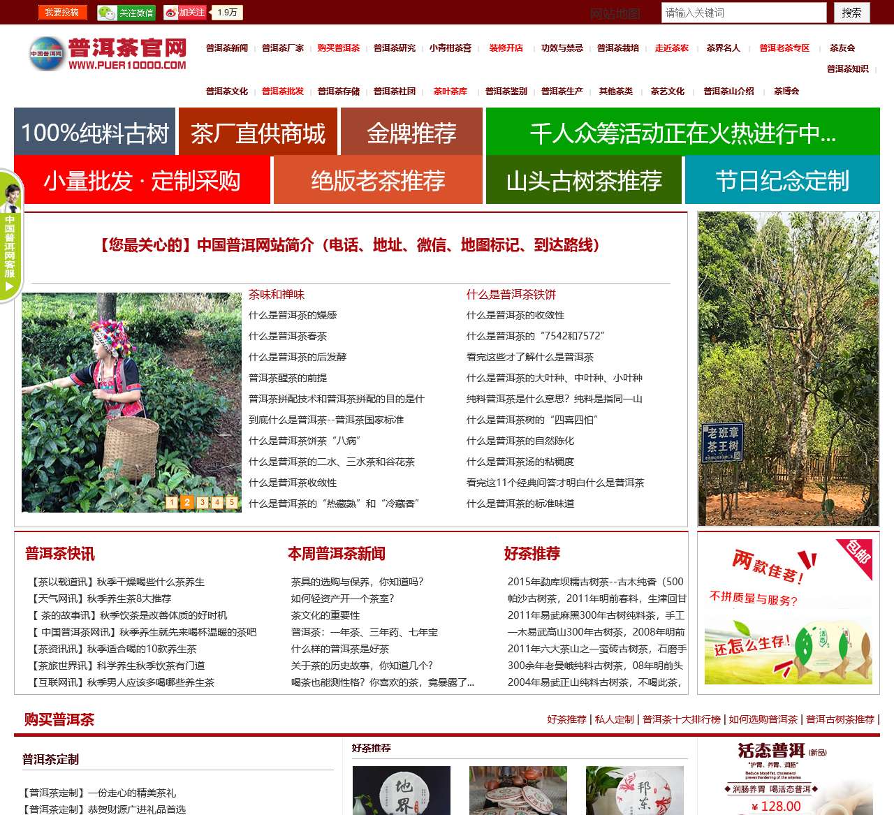 普洱茶官方网站（普洱茶网）
