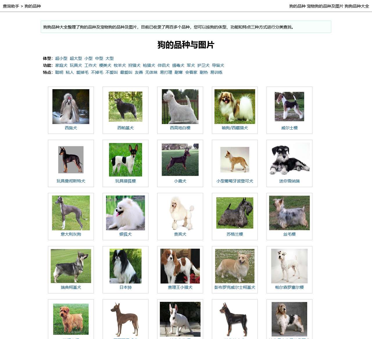 狗的品种_宠物狗的品种及图片_狗狗品种大全