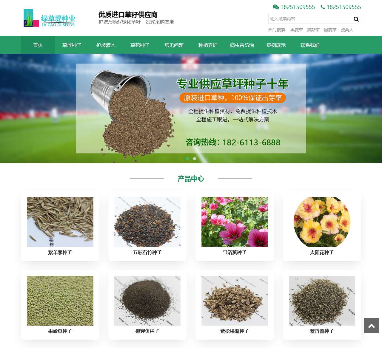 进口草坪种子批发供应商-绿草堤园林网-沭阳县三点水商贸有限公司