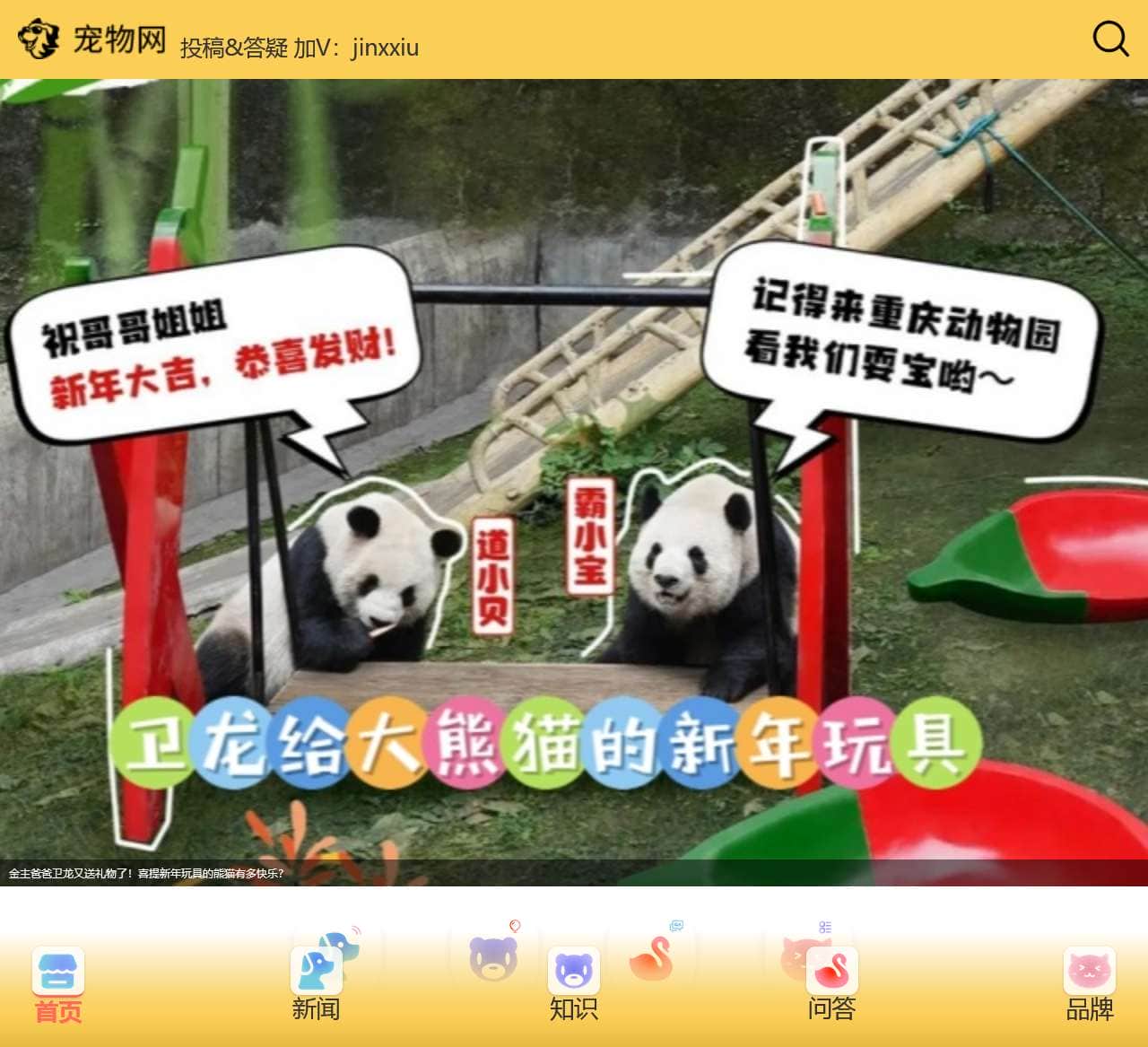 宠物网 您身边养宠社群