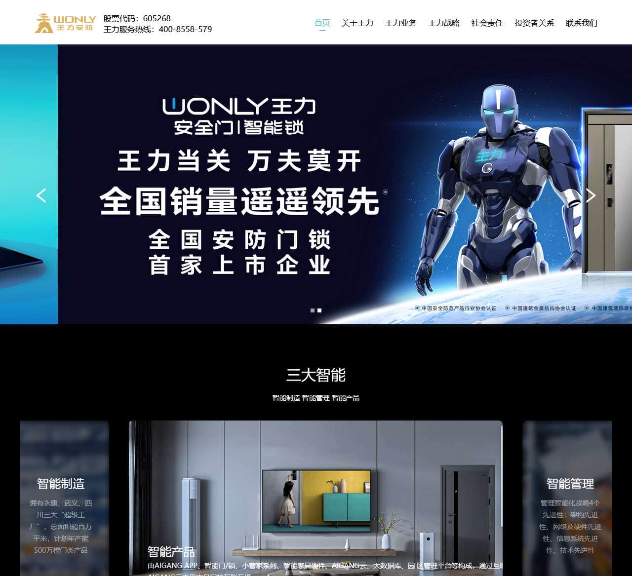 王力安防官方网站