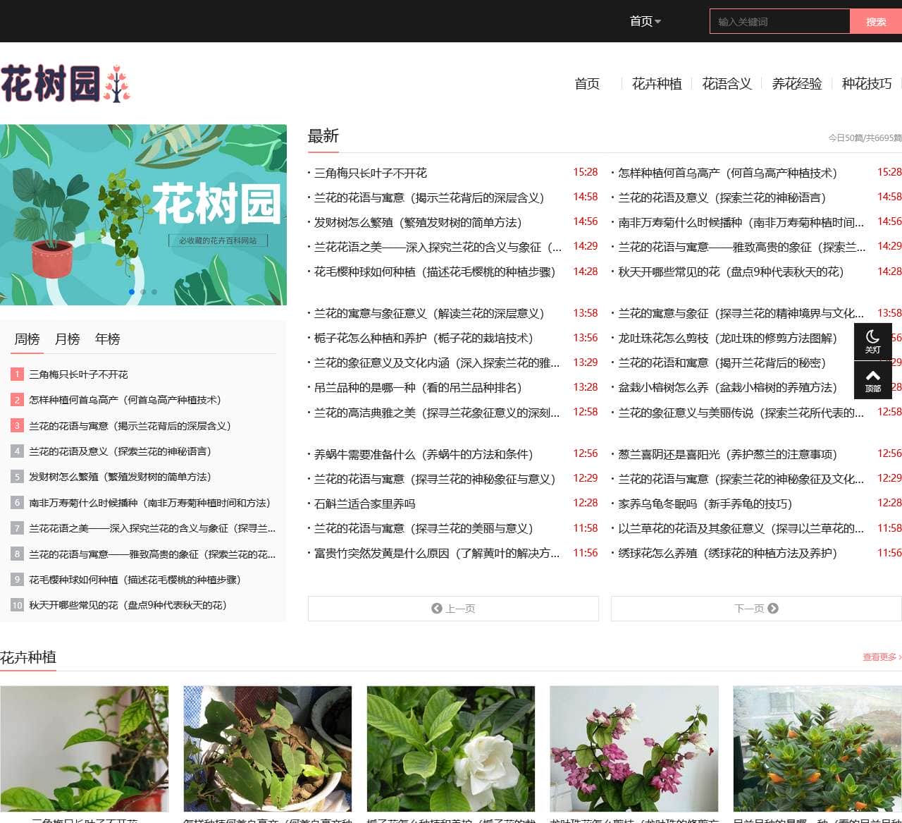 花树园_花卉种植_花语含义_养花经验_种花技巧_huashuntour.com-花树园