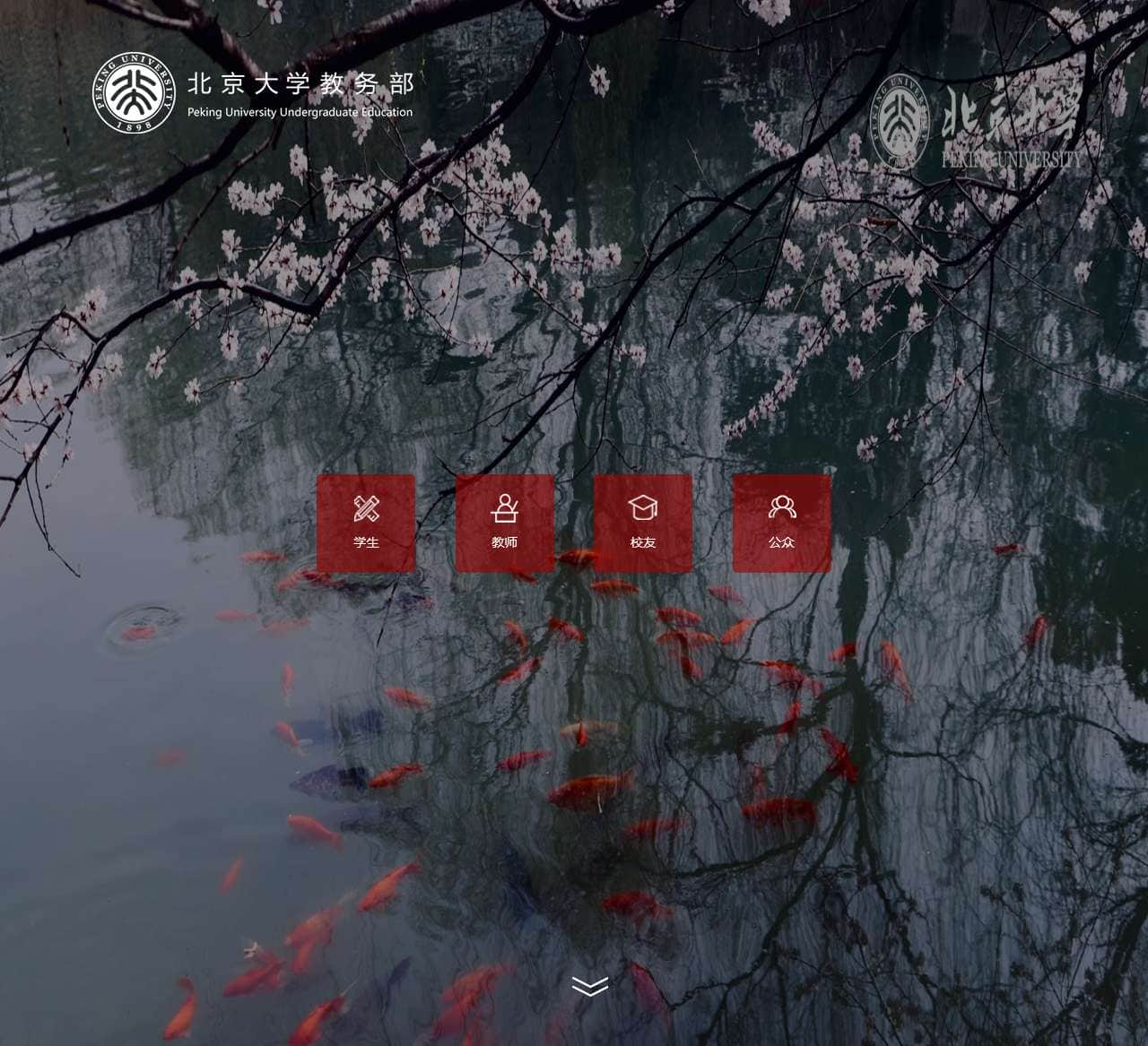 北京大学教务部