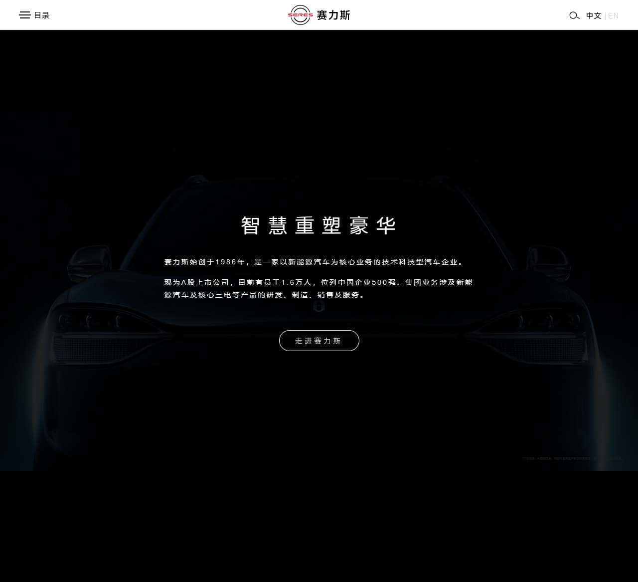 赛力斯集团股份有限公司
