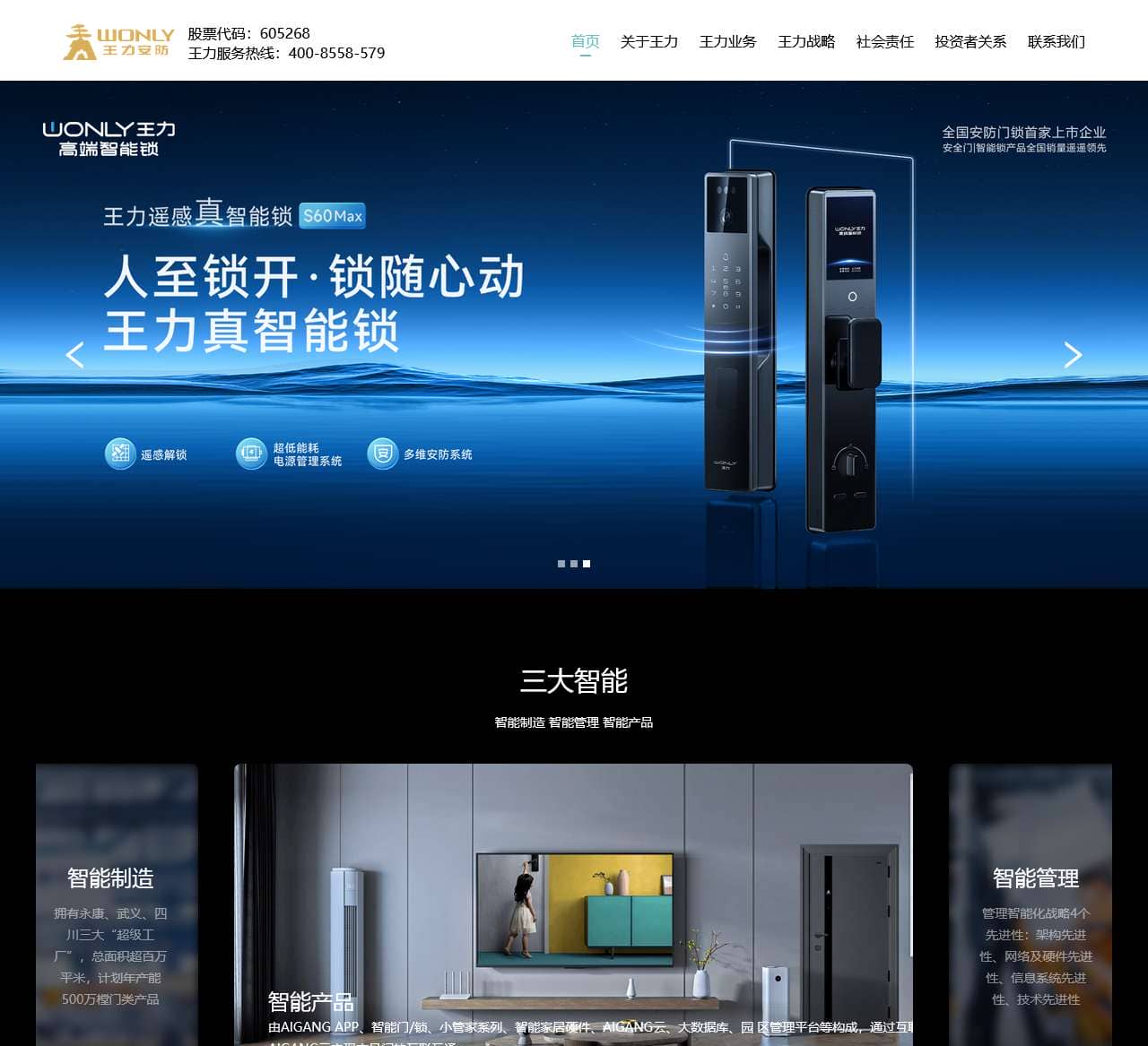 王力安防官方网站