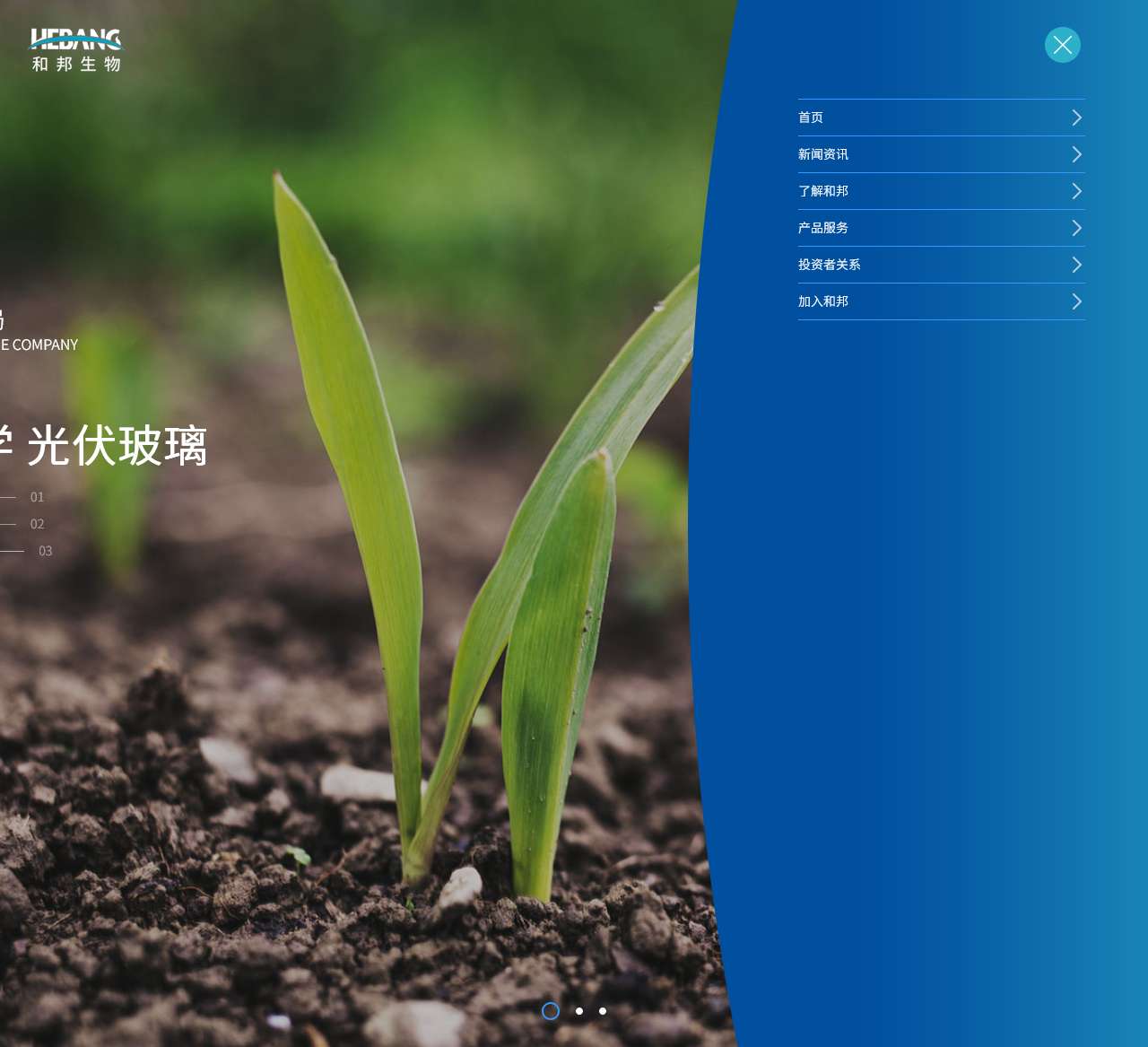 四川和邦生物科技股份有限公司官网